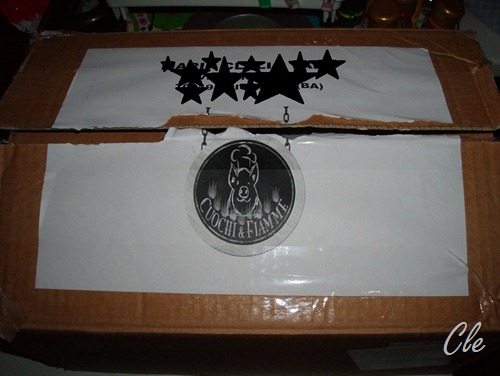 Valigetta cuochi e fiamme