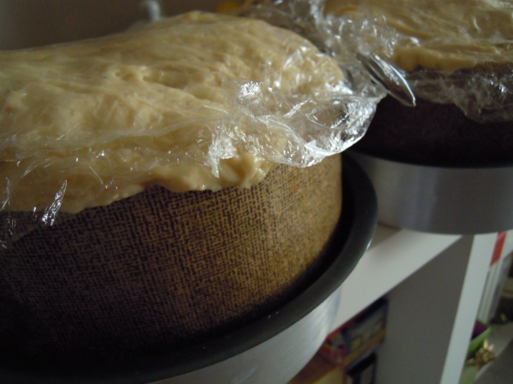 Colomba in itinere&hellip; aspettando la&nbsp;Pasqua